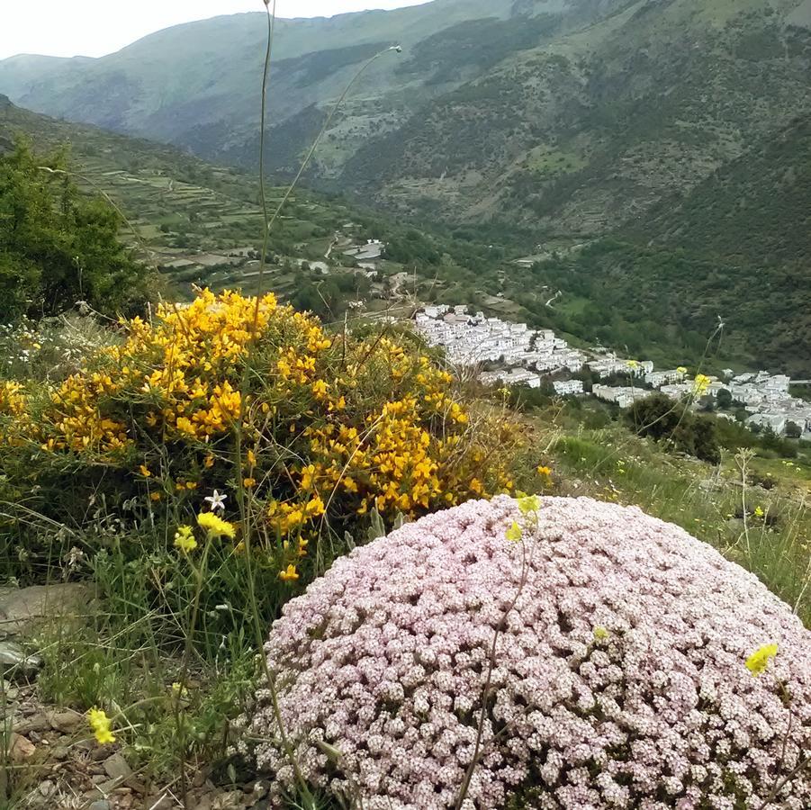 Bed and Breakfast Refugio Alpujarra Alta Trevélez Exteriér fotografie